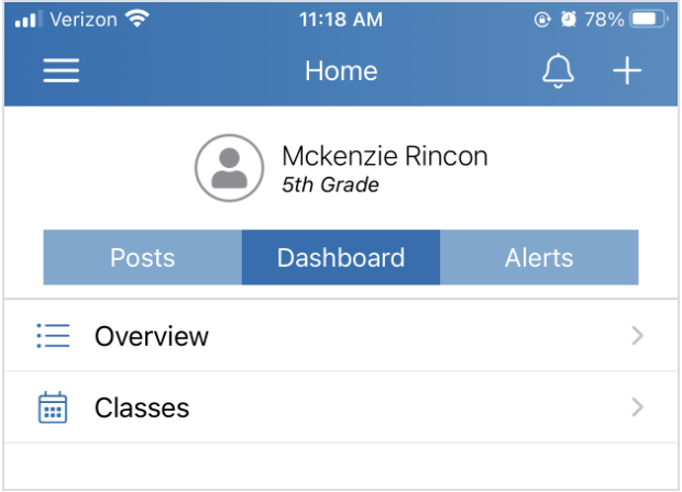 Tap Dashboard, then Overview.